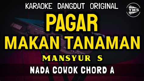 Pagar Makan Tanaman Mansyur S Karaoke Dangdut Original Nada