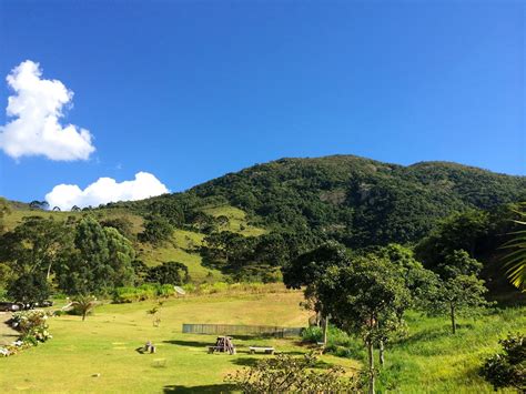 Mata Atlântica História e Evolução Áreas Verdes das Cidades Guia