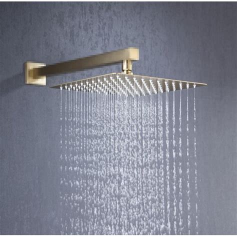 Rainlex Rain Fixed Shower Head 1 8 Gpm Gpm And Reviews Wayfair