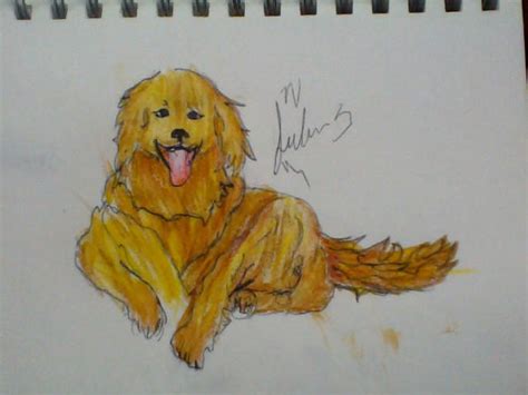 dog number   justadreamertoo  deviantart