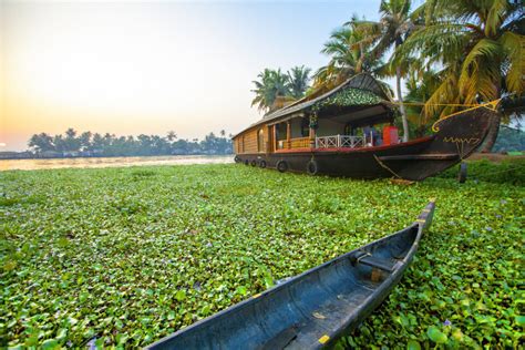 📅 The Best & Worst Times to Visit Kerala in 2025 (Our Take)