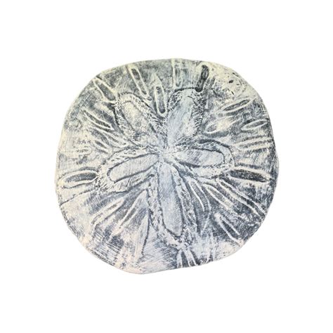 Medium Sand Dollar Stouts Statuary