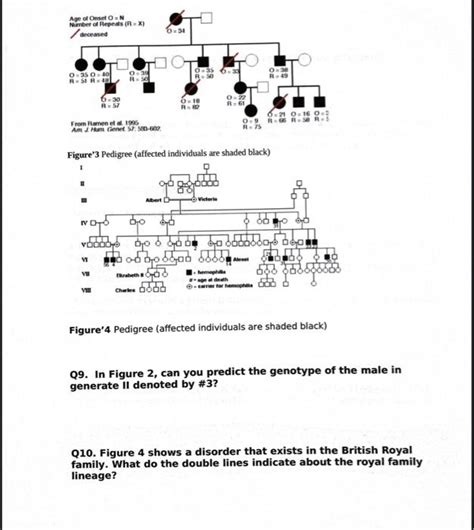 Solved Pedigrees Pedigrees Are A Useful Means To Illustrate Chegg