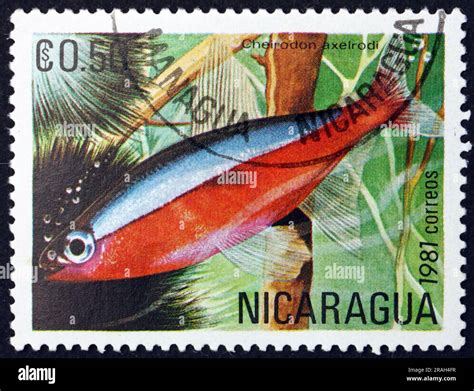 NICARAGUA CIRCA 1981 A Stamp Printed In Nicaragua Shows The Cardinal