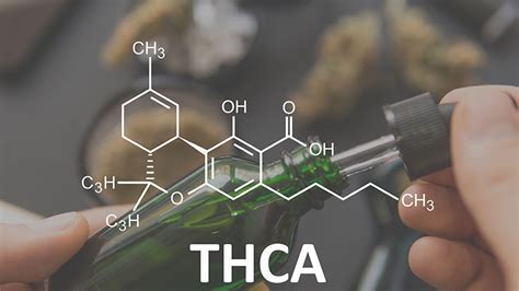 5 Different Ways To Use Thca Oil Hemp Generation