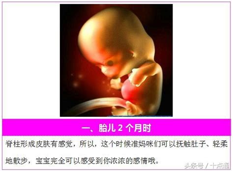 怀孕过程中孕妇必须重视胎儿宝宝发育的6个关键点！ 每日头条