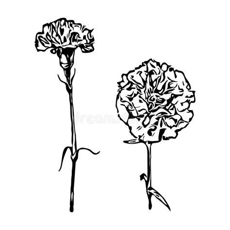 Black Flowers On A White Background Stock Vector Illustration Of