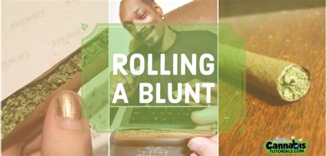 How to Roll a Blunt - A Beginners Guide to a Perfect Blunt