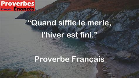 Quand siffle le merle l hiver est fini Proverbe Français YouTube