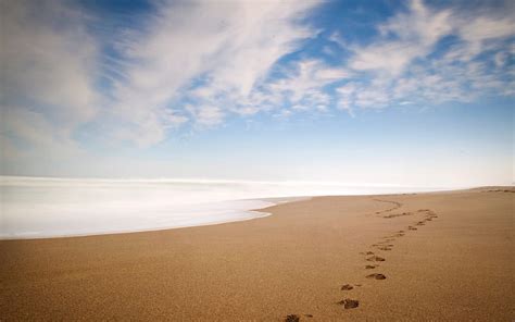 Footprints 1080P, 2K, 4K, 5K HD wallpapers free download | Wallpaper Flare