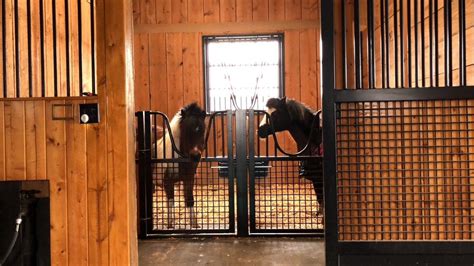 Pin by Candace Loftus on Future Barn | Miniature horse barn, Dream ...