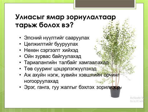 УЛИАС МОД ИХ ХЭМЖЭЭГЭЭР БОРЛУУЛНА.... - Улиас-Мод үржүүлэг