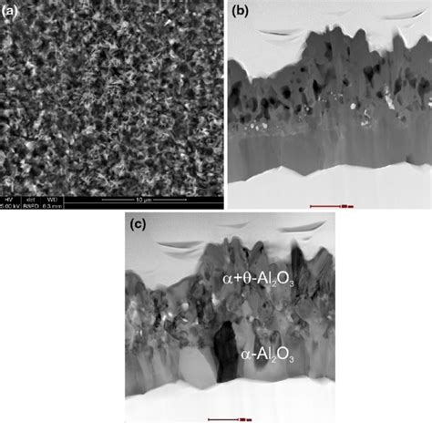 Sem Bse Image Of The Surface Microstructure A Stem Haadf B And Bf