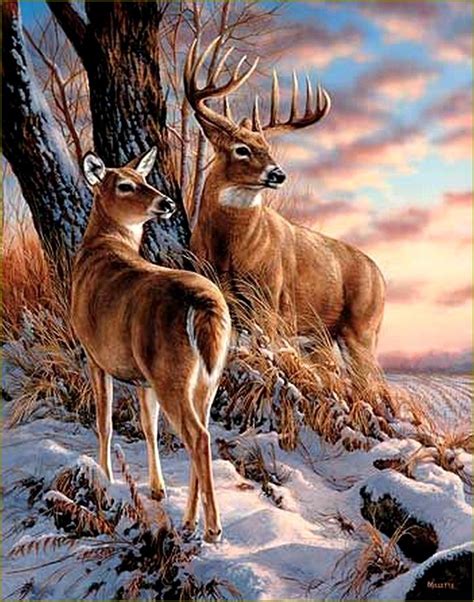 Cerfs Biches Faons Chevreuils En Peinture Et Illustrations