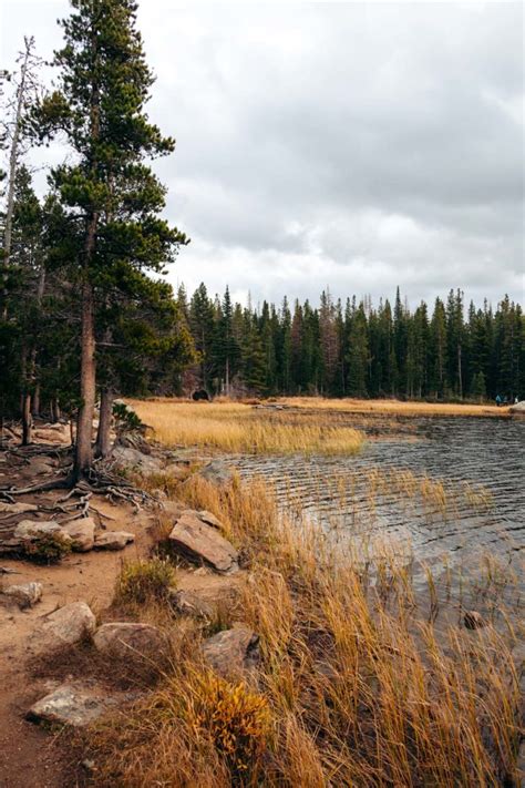 Bierstadt Lake Trail Hike From Bierstadt Lake Trailhead Roads And