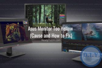 Asus Monitor Screen Issues How To Troubleshoot Ready To DIY