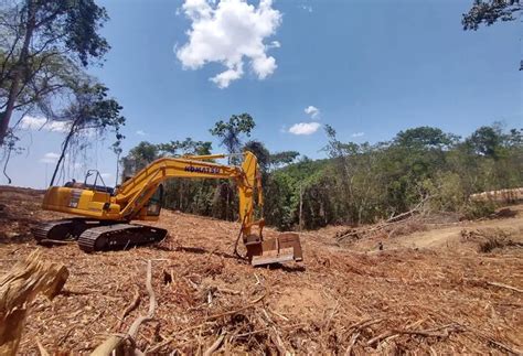 Desmatamento No Cerrado Quase Dobrou Em Dezembro De 2022