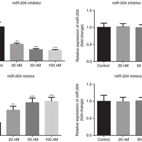 Effect Of MiR 204 Mimics Or Inhibitor On The Expression Of MiR 204 In