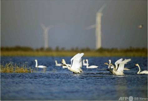 中国は黄河流域の生態系保護の強化において目覚ましい成果を挙げた 写真1枚 国際ニュースAFPBB News