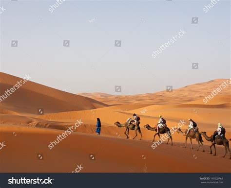 Sahara Desert Stock Photo 145528462 Shutterstock