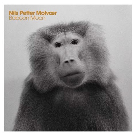 Nils Petter Molv R Baboon Moon Lyrics And Tracklist Genius