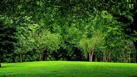 Green Scenery Wallpapers - Top Free Green Scenery Backgrounds ...