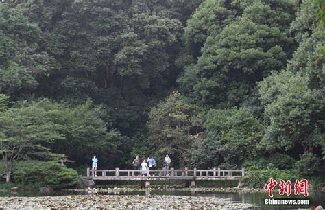 西湖申遗成功11周年：周边17个收费景点免费开放 搜狐大视野 搜狐新闻