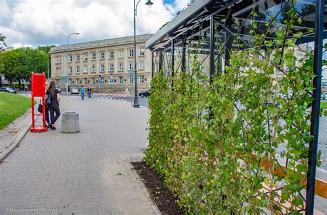 Zielone Przystanki Komunikacji Miejskiej W Bia Ymstoku In Ynier