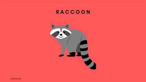 100 Funny Raccoon Puns and One-Liners - Jokewise