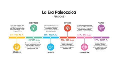 visión especificación esfera linea del tiempo de las eras geologicas de