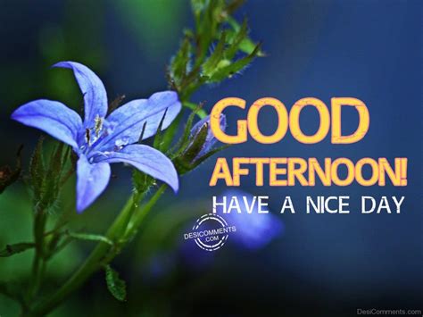 Good Afternoon Images Pics And Good Afternoon Msg Wishes Quotes Finetoshine