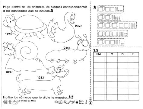 Actividades Para Tercer Grado De Primaria Ejemplos