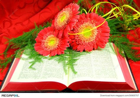 Open Bible With Cross And Flowers