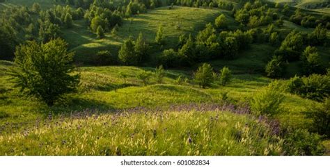 "rolling_terrain" Images, Stock Photos & Vectors | Shutterstock