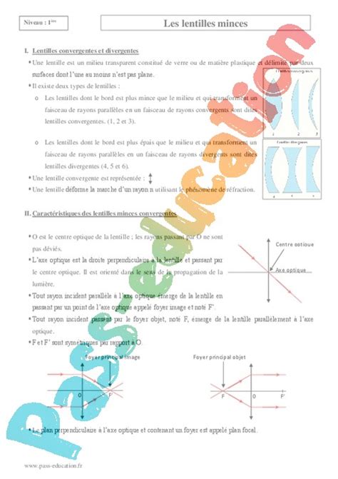 Cours L Il Organe De La Vision Premi Re