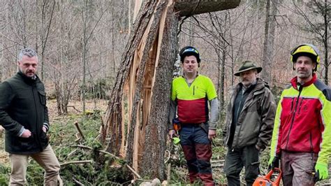 Gesperrte Wanderwege Sturmsch Den Sorgen Weiter F R Behinderungen