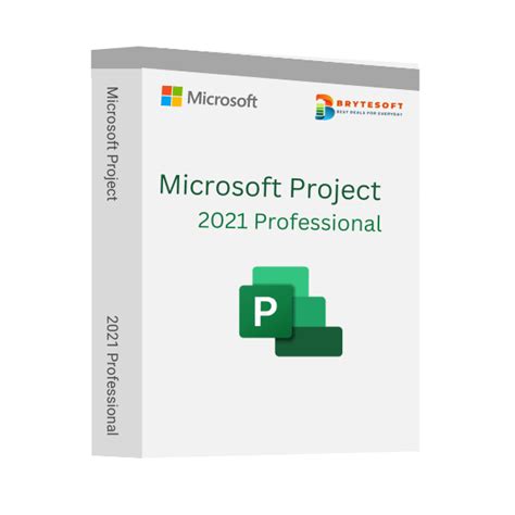 Microsoft Project 2021 Professional Brytesoft