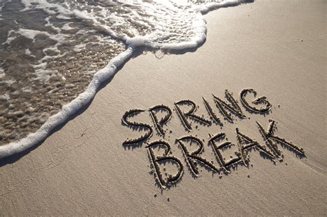 How To Make The Most Of Your Spring Break Going Ivy 98 Of Clients Admitted To A Top Choice