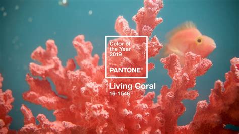 The Pantone Color of the Year 2019 Is Officially Released