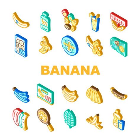 Pl Tano Fruta Comida Amarillo Blanco Iconos Conjunto Vector C Scara