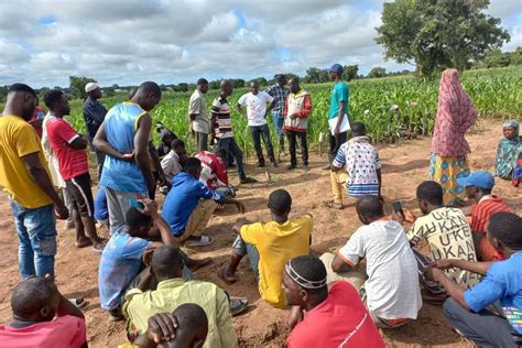 Agricultural Resilience In Smallholder Farmers In Ghana