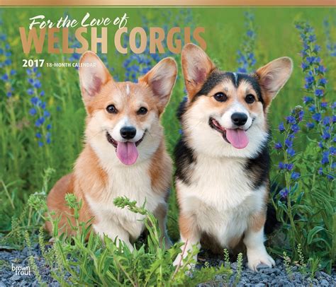 Welsh Corgis For The Love Of 2017 Deluxe English French And Spanish