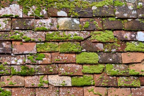 Old Tiled Roof Stock Image Image Of Close Building 271646685