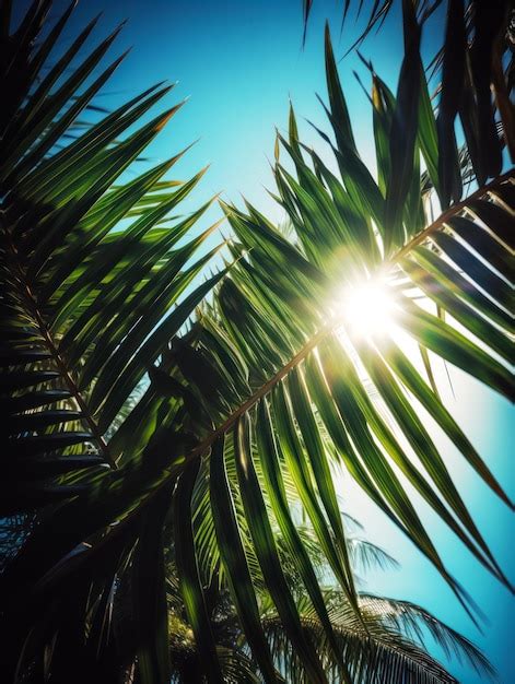 Premium AI Image The Sun Shines Through The Leaves Of Palm Tree On