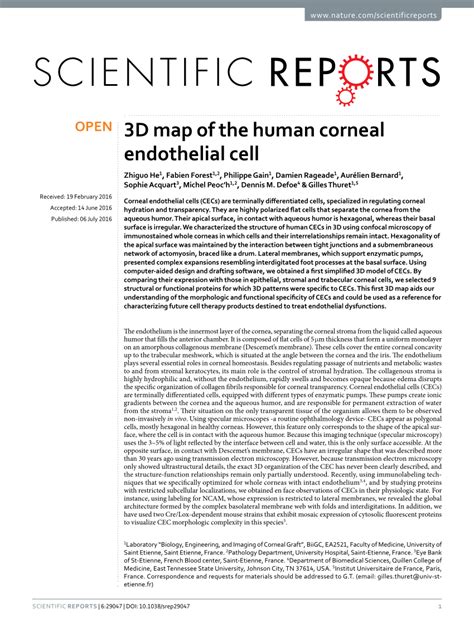 Pdf D Map Of The Human Corneal Endothelial Cell