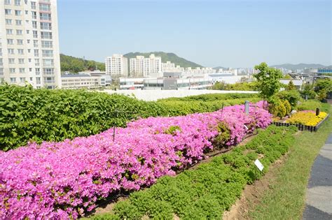 세계 최대 ‘정부세종청사 옥상정원 나도 한번 걸어볼까 세종포스트