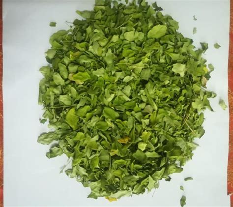 Organic Moringa Oleifera, Color : Green at Rs 240 in Pune - ID: 5311711