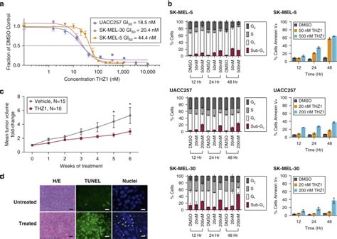 High Mitf Expression Is Associated With Super Enhancers And Suppressed