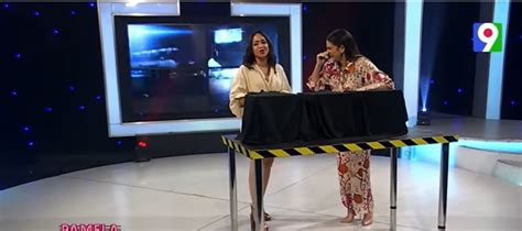 Primicia La Senadora Faride Raful En Pamela Todo Un Show