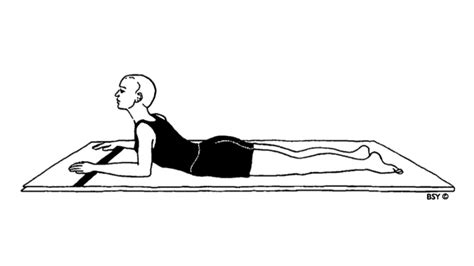 Saral Bhujangasana Easy Cobra Pose In Yoga World Yoga Forum